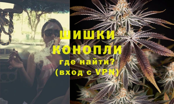 СК Семилуки